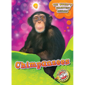Chimpanzees