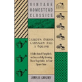 Carrots, Onions, Cabbages and a Squash - A Collection of Pamphlets on Successfully Growing these Vegetables in Your Spare Time