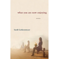 What You Are Now Enjoying
