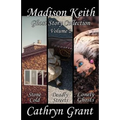 Madison Keith Ghost Story Collection - Volume 2 (Suburban Noir Ghost Stories)