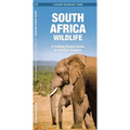 South Africa Wildlife: A Folding Pocket Guide to Familiar Animals