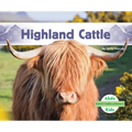 Highland Cattle