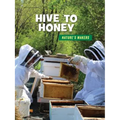 Hive to Honey