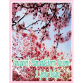 Vancouver's Plum and Cherry Blossoms: A Spring Delight