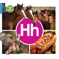 Hh