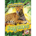 Jaguars