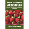 How to grow strawberries: The Complete Guide to Growing, Fertilize, Harvesting and Storing Healthy, Homegrown Strawberries