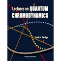 Lectures on the Foundations of Quantum Chromodynamics