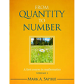 From Quantity To Number: A first course in mathematics