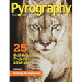 Pyrography Special Edition: 25 Skill-Building Projects & Patterns Featuring Burning for Beginners