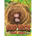 Bird Nests