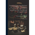 Examination And Report Of The Public Examiner, E. S. Tyler, On The Dakota Hospital For The Insane At Jamestown: To The Governor