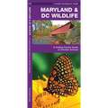 Maryland & DC Wildlife: A Folding Pocket Guide to Familiar Animals