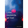 Little Moments We Lost