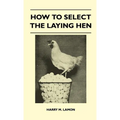 How To Select The Laying Hen