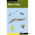 Bugs & Slugs
