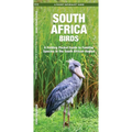 South Africa Birds: A Folding Pocket Guide to Familiar Species in the South African Region