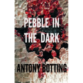 Pebble in the Dark