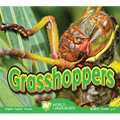 Grasshoppers