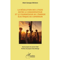La résolution des litiges entre le consommateur et le fournisseur de l'énergie électrique au Cameroun