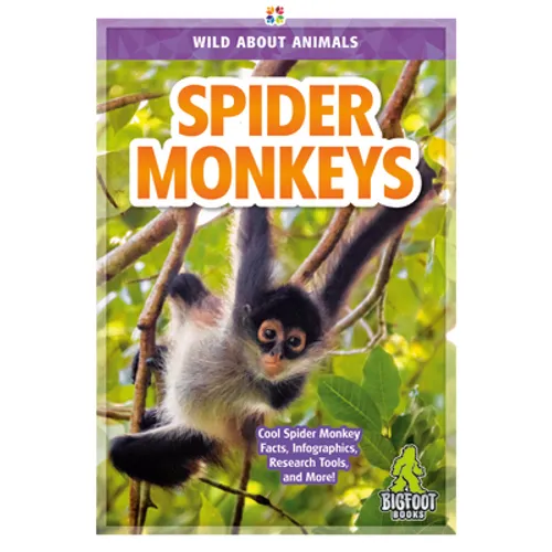 Spider Monkeys