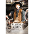 Summer at Stewart Creek