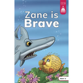 Zane Is Brave
