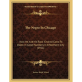 The Negro In Chicago: How He And His Race Kindred Came To Dwell In Great Numbers In A Northern City (1916)