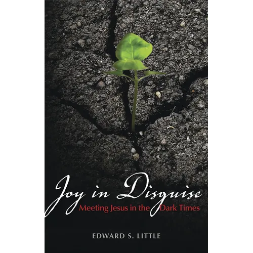 Joy in Disguise: Meeting Jesus in the Dark Times