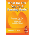 What Do You Say to a Burning Bush?: Sermons for the Season After Pentecost (Middle Third): Cycle a (First Lesson)