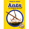 Ants