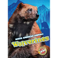 Wolverines
