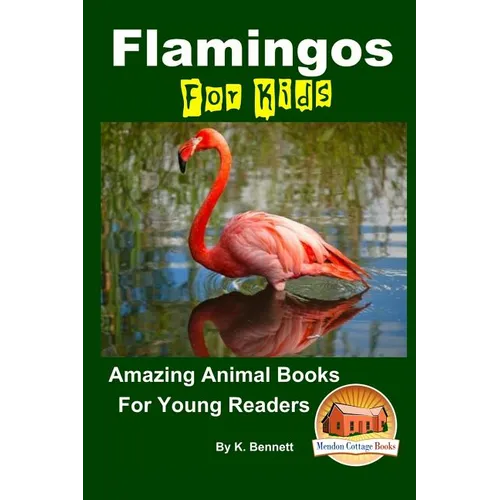 Flamingos For Kids Amazing Animal Books For Young Readers