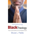 Introducing Black Theology