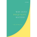 Why Does Inequality Matter?