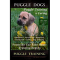 Puggle Dogs, Puggle Training & Caring By D!G THIS DOG TRAINING Obedience - Socializing - Behaviors - Commands - Caring - Dog Training: From the Car Ri
