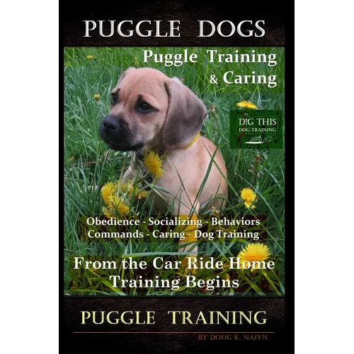 Puggle Dogs, Puggle Training & Caring By D!G THIS DOG TRAINING Obedience - Socializing - Behaviors - Commands - Caring - Dog Training: From the Car Ri