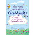 There Is Nothing Sweeter in Life Than a Granddaughter