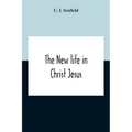 The New Life In Christ Jesus