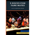 9 Discus Fish Tank Mates: List of Compatible Species