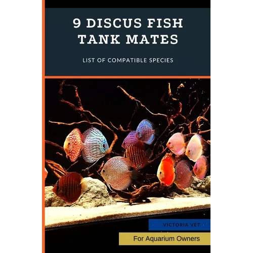 9 Discus Fish Tank Mates: List of Compatible Species