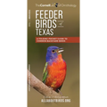 Feeder Birds of Texas: A Folding Pocket Guide to Common Backyard Birds
