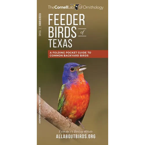 Feeder Birds of Texas: A Folding Pocket Guide to Common Backyard Birds