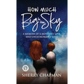 How Much Big Is the Sky: A Memoir of a Mother's Love and Unfathomable Loss