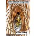 world without end: poems