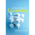 A First Course in Geometry