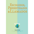 Escogidos, predestinados y llamados: ¿Qué dice la Biblia en relación con estas preguntas?