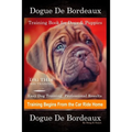 Dogue De Bordeaux Training Book for Dogs & Puppies By D!G THIS DOG Training, Easy Dog Training, Professional Results, Training Begins from the Car Rid
