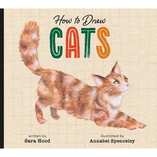 How to Draw Cats