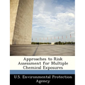 Approaches to Risk Assessment for Multiple Chemical Exposures